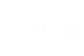 Medivision Events